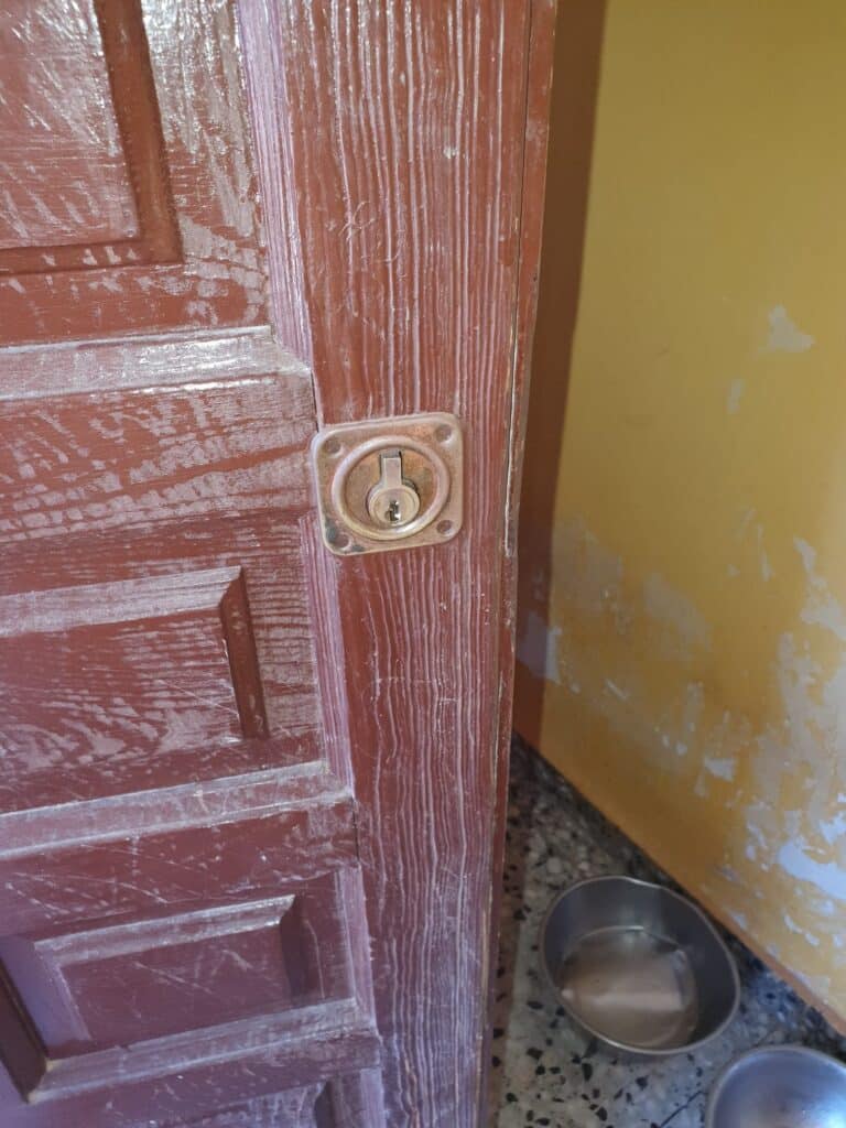 Apertura de puertas Els Orriols